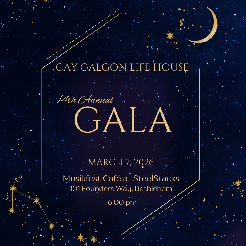 2026 Gala for the Cay Galgon Life House